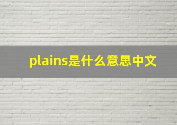 plains是什么意思中文