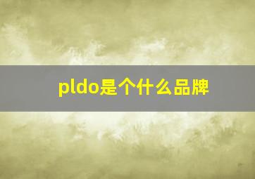 pldo是个什么品牌