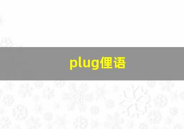 plug俚语