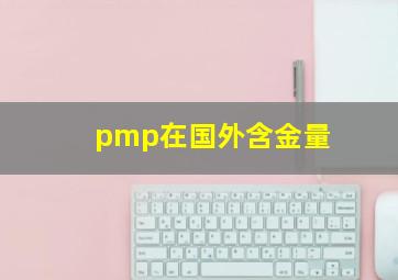 pmp在国外含金量