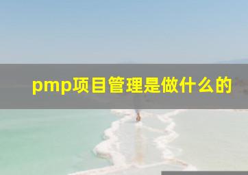 pmp项目管理是做什么的