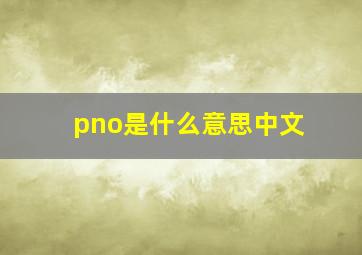 pno是什么意思中文