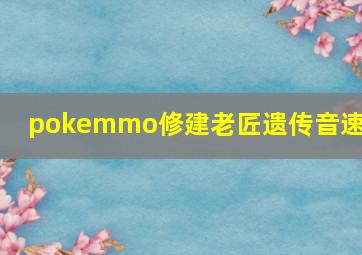 pokemmo修建老匠遗传音速拳