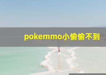 pokemmo小偷偷不到