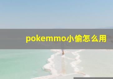 pokemmo小偷怎么用