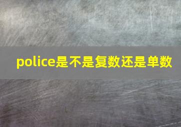 police是不是复数还是单数