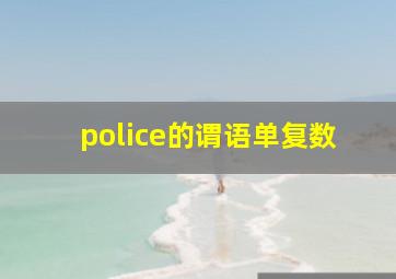 police的谓语单复数