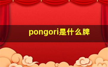 pongori是什么牌