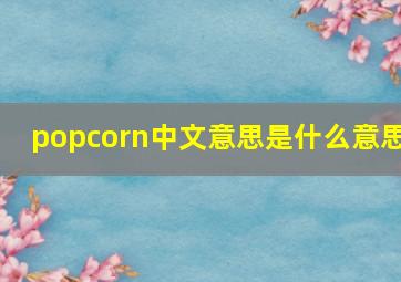 popcorn中文意思是什么意思