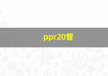 ppr20管