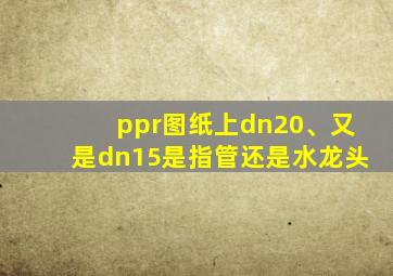 ppr图纸上dn20、又是dn15是指管还是水龙头