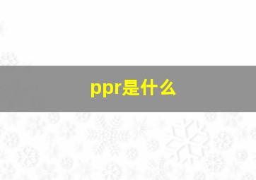 ppr是什么