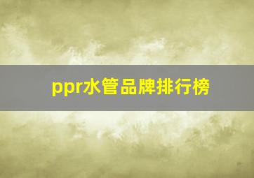 ppr水管品牌排行榜