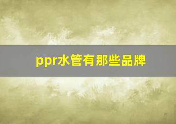 ppr水管有那些品牌