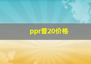 ppr管20价格