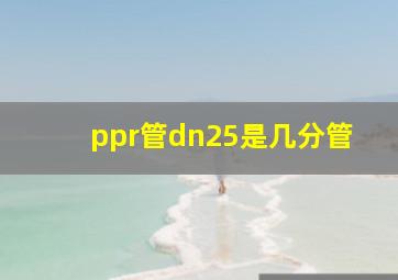 ppr管dn25是几分管