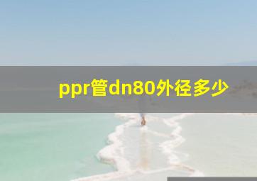 ppr管dn80外径多少