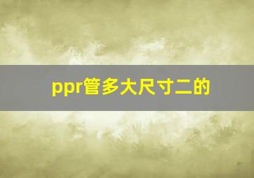 ppr管多大尺寸二的