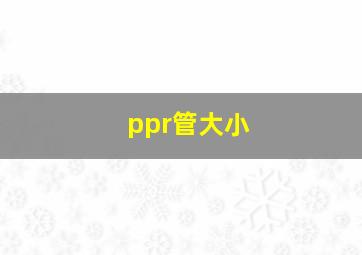 ppr管大小