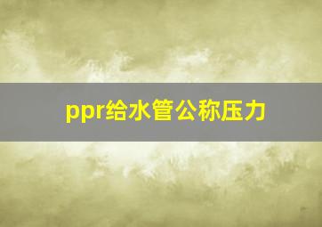 ppr给水管公称压力