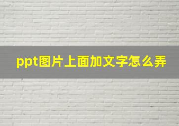 ppt图片上面加文字怎么弄