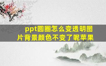 ppt圆圈怎么变透明图片背景颜色不变了呢苹果