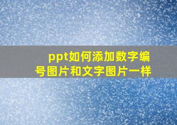 ppt如何添加数字编号图片和文字图片一样