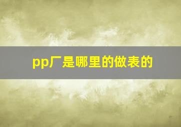 pp厂是哪里的做表的