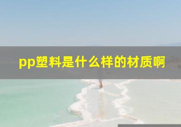 pp塑料是什么样的材质啊