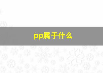 pp属于什么