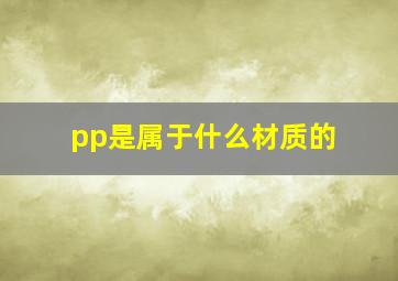 pp是属于什么材质的