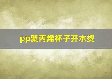 pp聚丙烯杯子开水烫