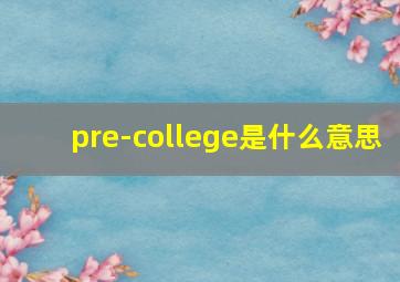 pre-college是什么意思