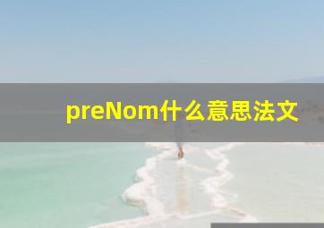 preNom什么意思法文