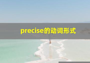 precise的动词形式