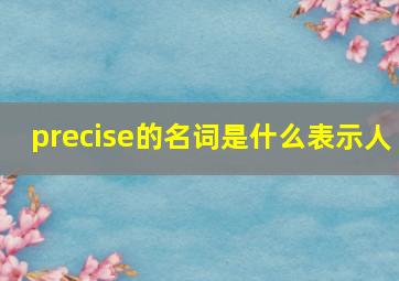 precise的名词是什么表示人