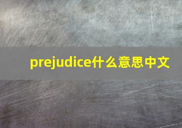 prejudice什么意思中文