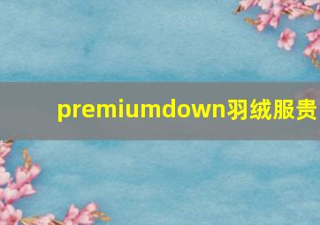 premiumdown羽绒服贵吗