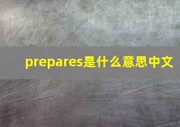 prepares是什么意思中文