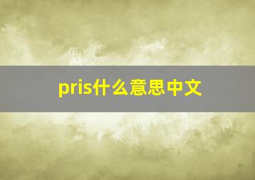 pris什么意思中文