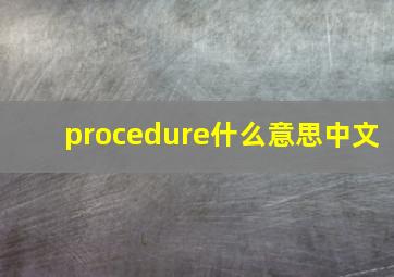 procedure什么意思中文