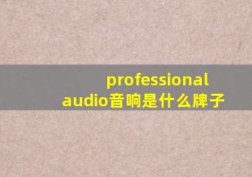 professionalaudio音响是什么牌子