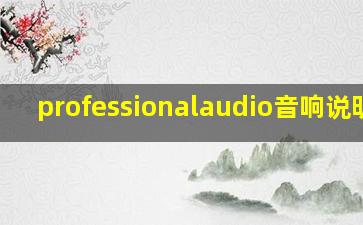 professionalaudio音响说明书