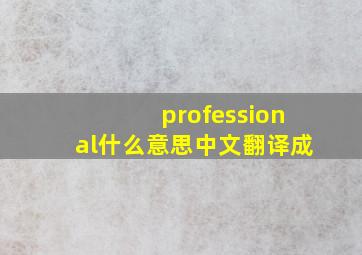 professional什么意思中文翻译成