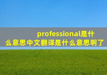 professional是什么意思中文翻译是什么意思啊了