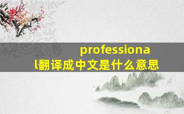 professional翻译成中文是什么意思