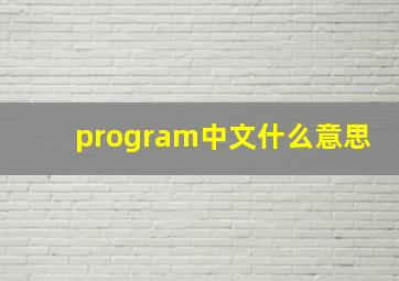 program中文什么意思