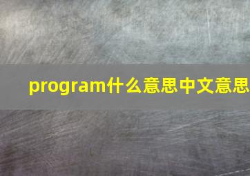 program什么意思中文意思