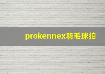 prokennex羽毛球拍