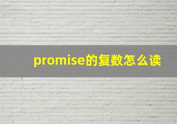 promise的复数怎么读